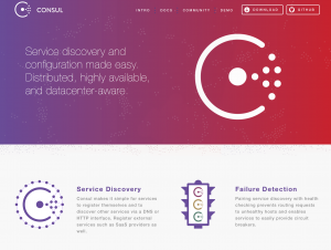 consul_webtop